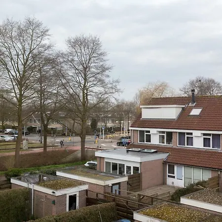 阿迪之家民宿 酒店 *