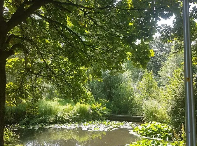 Arty House * Amstelveen